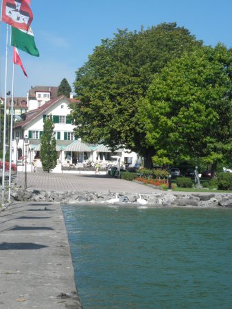accommodation on the shore of the Lake of Geneva