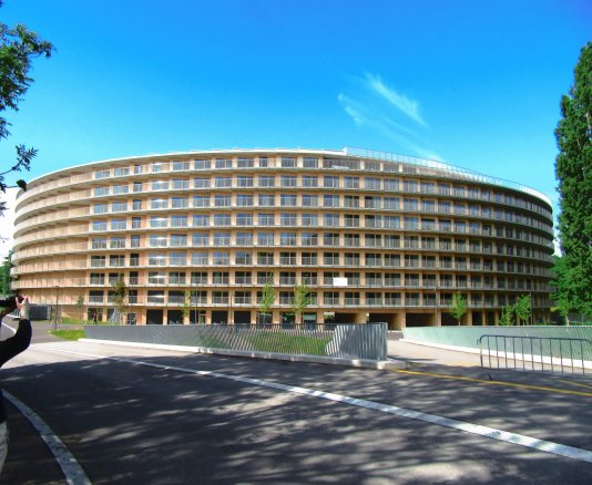 Votex, symbol of youth olympic games